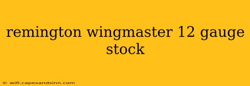 remington wingmaster 12 gauge stock