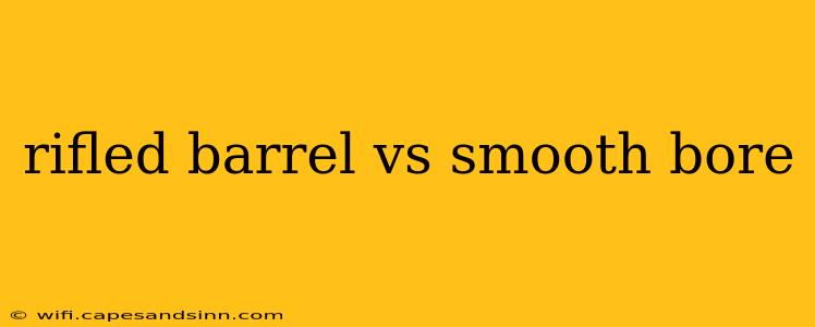 rifled barrel vs smooth bore