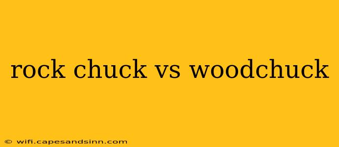 rock chuck vs woodchuck