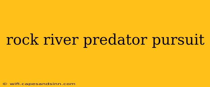 rock river predator pursuit