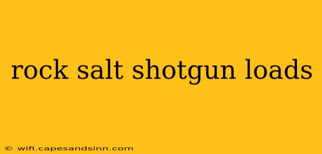 rock salt shotgun loads