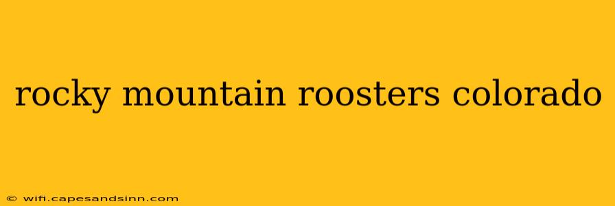 rocky mountain roosters colorado