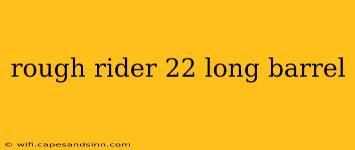 rough rider 22 long barrel