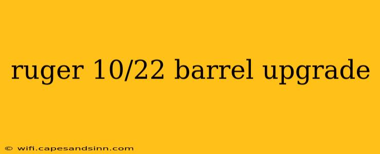 ruger 10/22 barrel upgrade