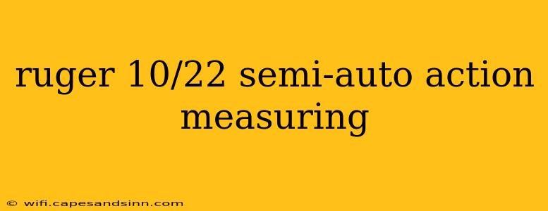 ruger 10/22 semi-auto action measuring