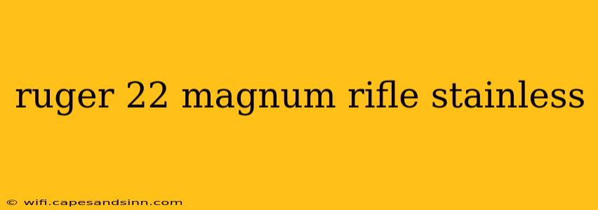 ruger 22 magnum rifle stainless