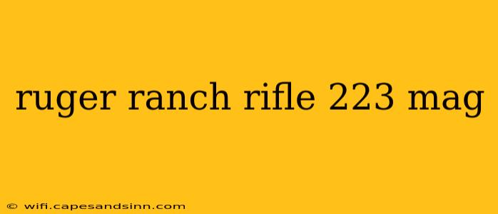 ruger ranch rifle 223 mag