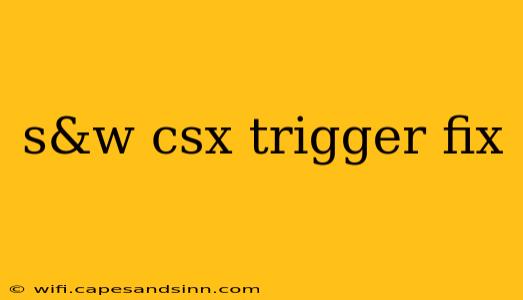 s&w csx trigger fix