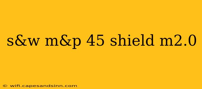 s&w m&p 45 shield m2.0