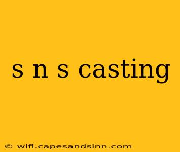 s n s casting