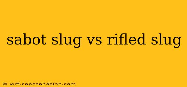 sabot slug vs rifled slug