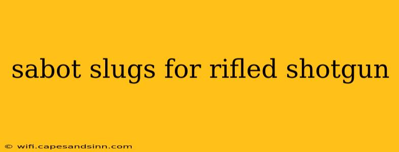 sabot slugs for rifled shotgun