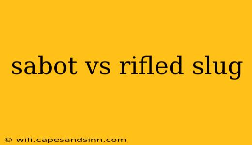 sabot vs rifled slug