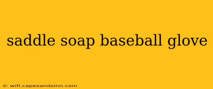 saddle soap baseball glove