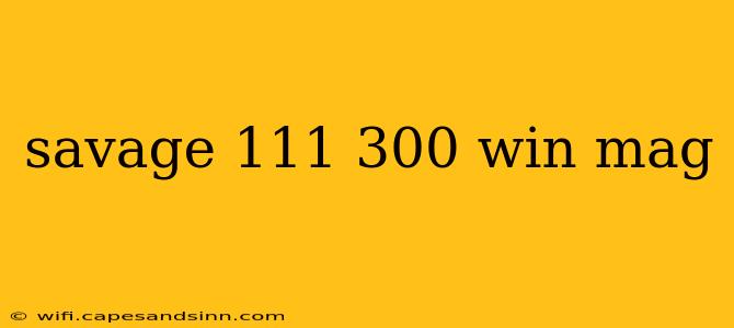 savage 111 300 win mag