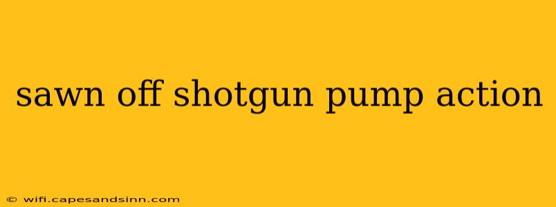 sawn off shotgun pump action