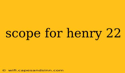 scope for henry 22