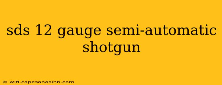 sds 12 gauge semi-automatic shotgun