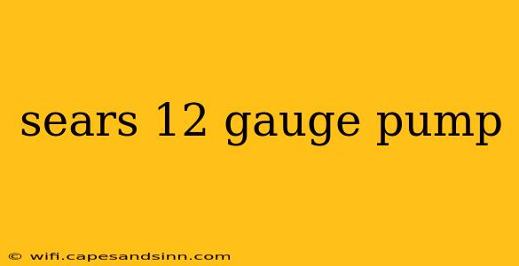 sears 12 gauge pump