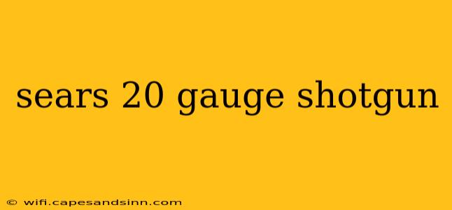 sears 20 gauge shotgun