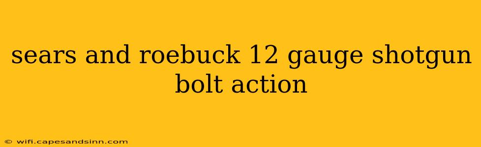 sears and roebuck 12 gauge shotgun bolt action