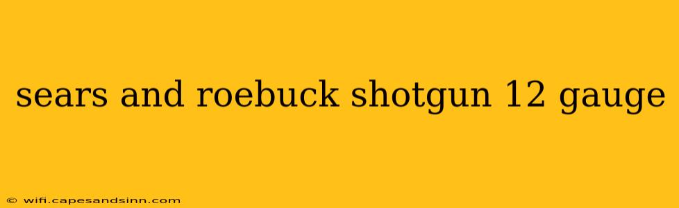 sears and roebuck shotgun 12 gauge