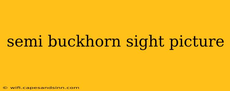 semi buckhorn sight picture