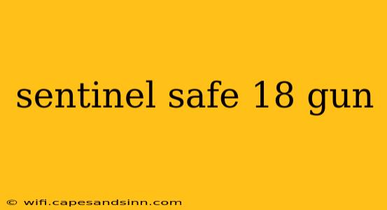 sentinel safe 18 gun