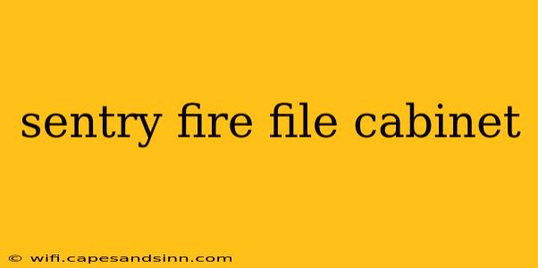 sentry fire file cabinet