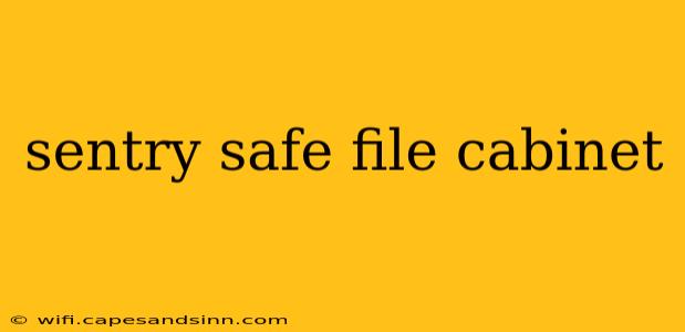 sentry safe file cabinet