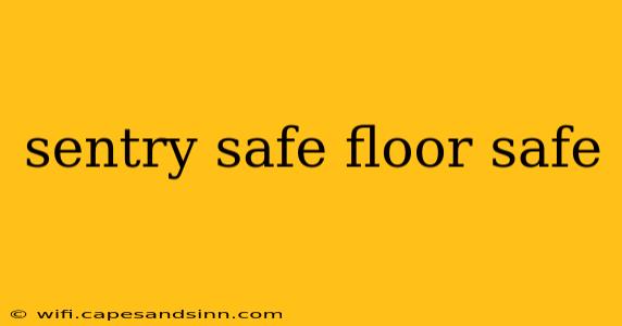 sentry safe floor safe