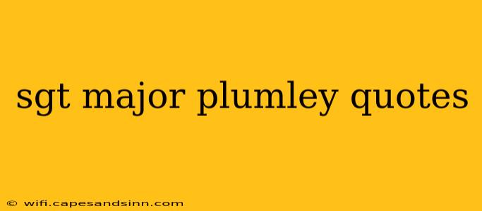 sgt major plumley quotes