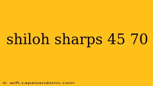 shiloh sharps 45 70