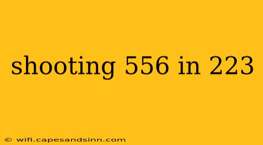 shooting 556 in 223