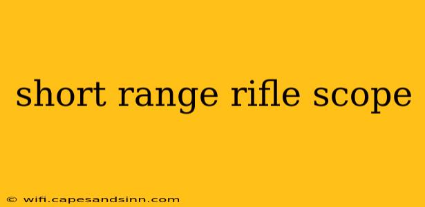 short range rifle scope