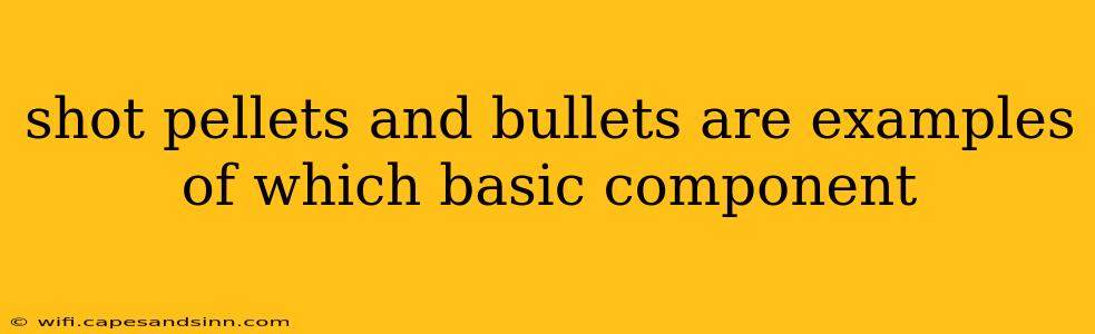 shot pellets and bullets are examples of which basic component