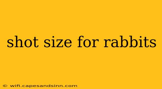 shot size for rabbits