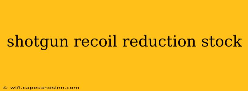 shotgun recoil reduction stock