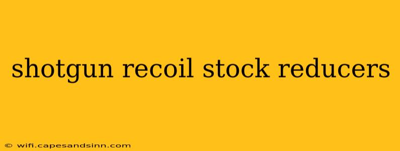 shotgun recoil stock reducers