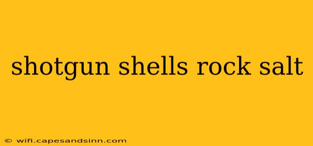 shotgun shells rock salt