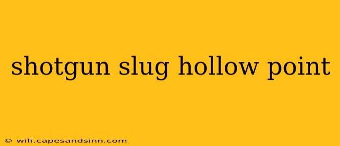 shotgun slug hollow point