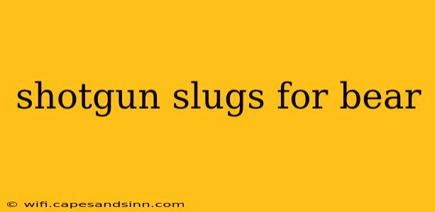 shotgun slugs for bear