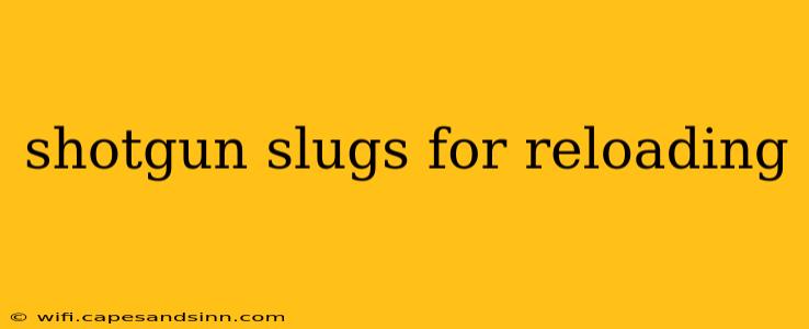 shotgun slugs for reloading