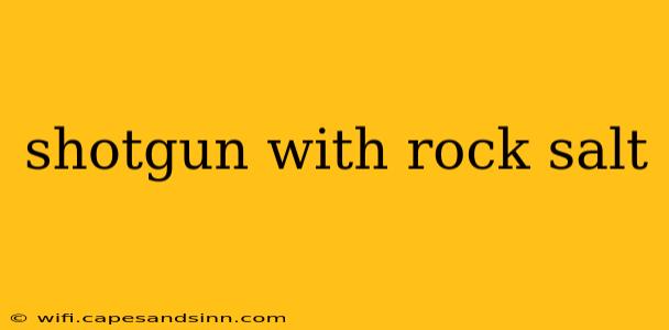 shotgun with rock salt