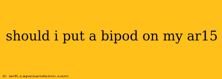 should i put a bipod on my ar15