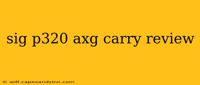 sig p320 axg carry review