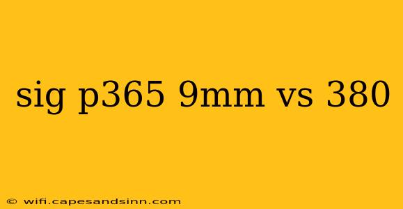 sig p365 9mm vs 380