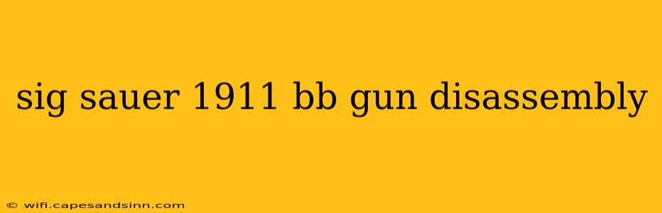 sig sauer 1911 bb gun disassembly