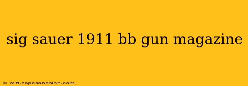 sig sauer 1911 bb gun magazine