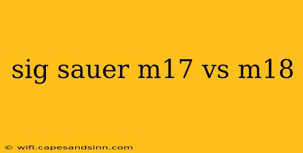 sig sauer m17 vs m18